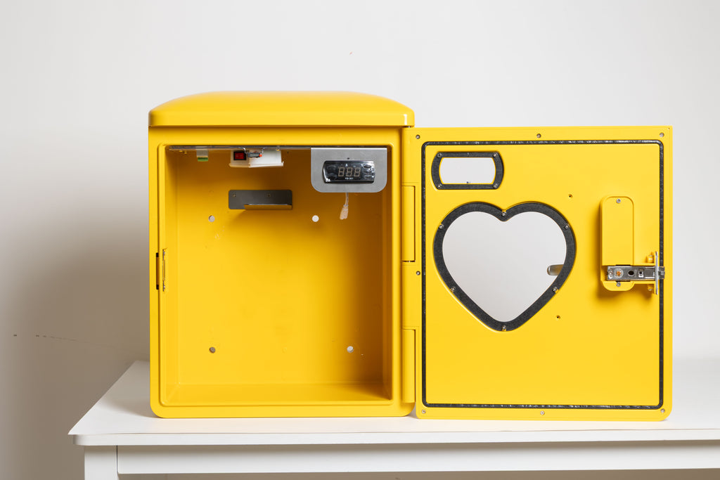 AED External Wall Mounted Cabinet
