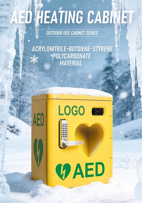 AED External Wall Mounted Cabinet